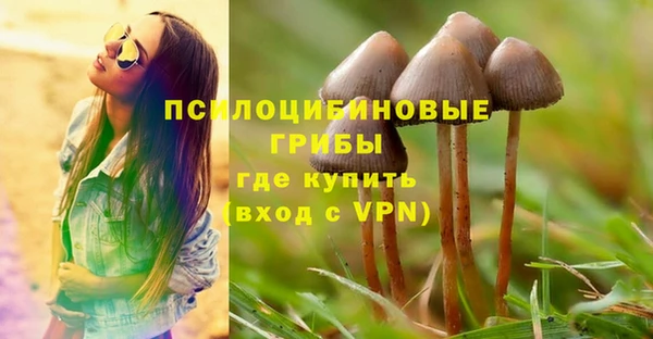шишки Алзамай
