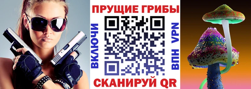 Псилоцибиновые грибы MAGIC MUSHROOMS  дарнет шоп  Благовещенск 